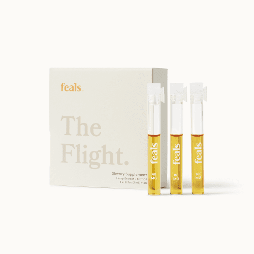 The Flight